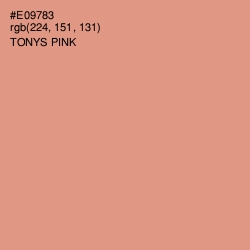 #E09783 - Tonys Pink Color Image