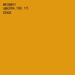 #E09811 - Dixie Color Image