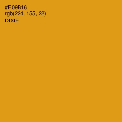 #E09B16 - Dixie Color Image