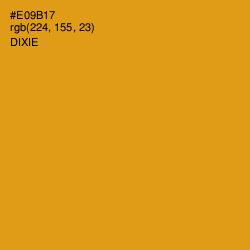 #E09B17 - Dixie Color Image