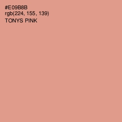 #E09B8B - Tonys Pink Color Image