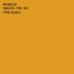 #E09C22 - Fire Bush Color Image