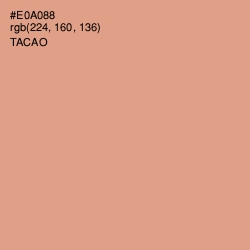 #E0A088 - Tacao Color Image