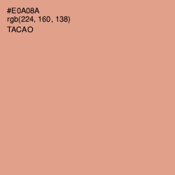 #E0A08A - Tacao Color Image