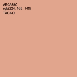 #E0A58C - Tacao Color Image
