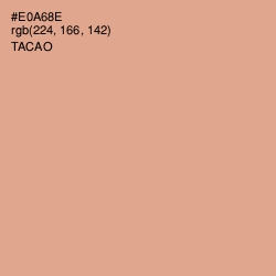 #E0A68E - Tacao Color Image