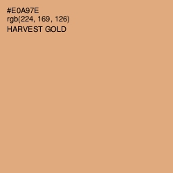 #E0A97E - Harvest Gold Color Image