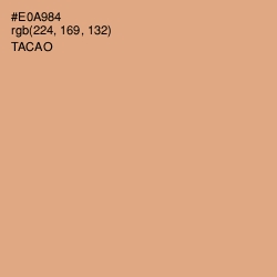 #E0A984 - Tacao Color Image
