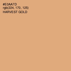 #E0AA7D - Harvest Gold Color Image