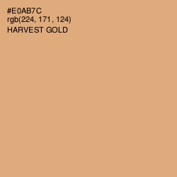 #E0AB7C - Harvest Gold Color Image