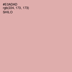 #E0ADAD - Shilo Color Image