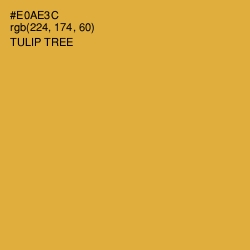 #E0AE3C - Tulip Tree Color Image