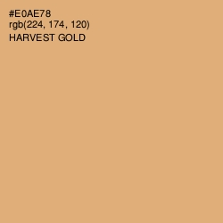 #E0AE78 - Harvest Gold Color Image