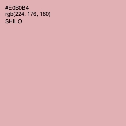 #E0B0B4 - Shilo Color Image