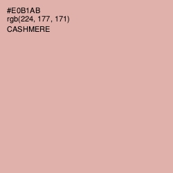 #E0B1AB - Cashmere Color Image