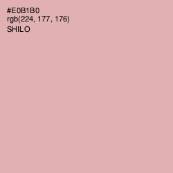 #E0B1B0 - Shilo Color Image