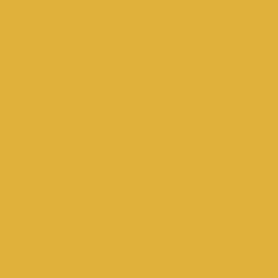 #E0B23C - Tulip Tree Color Image