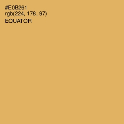 #E0B261 - Equator Color Image