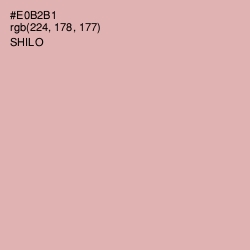 #E0B2B1 - Shilo Color Image