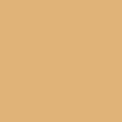 #E0B379 - Harvest Gold Color Image