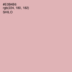 #E0B4B6 - Shilo Color Image