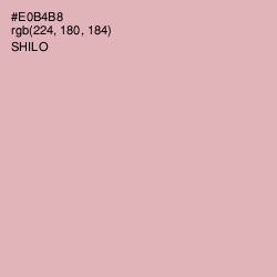 #E0B4B8 - Shilo Color Image