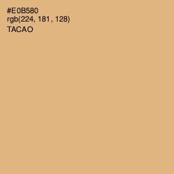 #E0B580 - Tacao Color Image