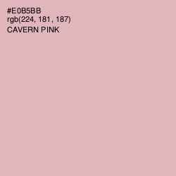 #E0B5BB - Cavern Pink Color Image