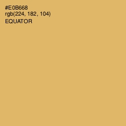 #E0B668 - Equator Color Image