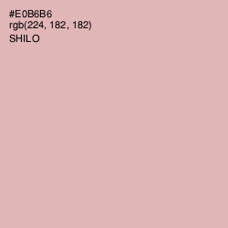 #E0B6B6 - Shilo Color Image