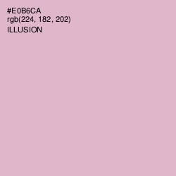 #E0B6CA - Illusion Color Image