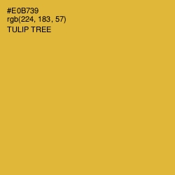 #E0B739 - Tulip Tree Color Image