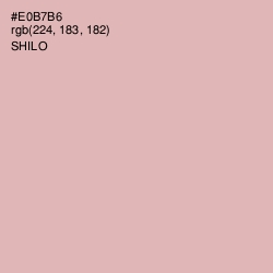 #E0B7B6 - Shilo Color Image