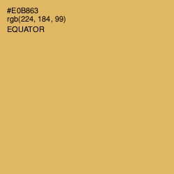 #E0B863 - Equator Color Image