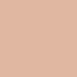 #E0B8A2 - Cashmere Color Image