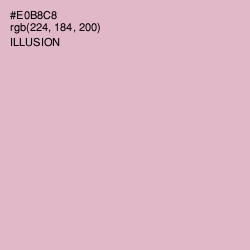 #E0B8C8 - Illusion Color Image