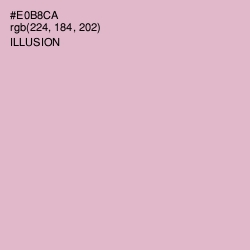 #E0B8CA - Illusion Color Image