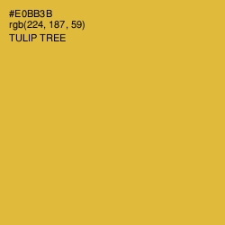 #E0BB3B - Tulip Tree Color Image