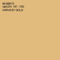 #E0BB7D - Harvest Gold Color Image