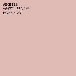 #E0BBB6 - Rose Fog Color Image