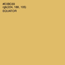 #E0BC69 - Equator Color Image