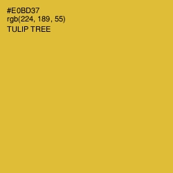 #E0BD37 - Tulip Tree Color Image