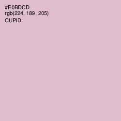 #E0BDCD - Cupid Color Image