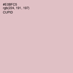 #E0BFC5 - Cupid Color Image