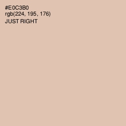 #E0C3B0 - Just Right Color Image