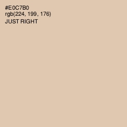 #E0C7B0 - Just Right Color Image