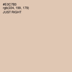 #E0C7B3 - Just Right Color Image