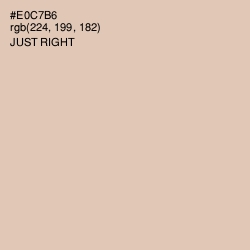 #E0C7B6 - Just Right Color Image