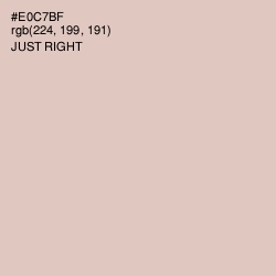 #E0C7BF - Just Right Color Image