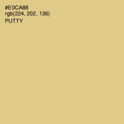 #E0CA88 - Putty Color Image